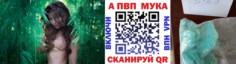 Альфа ПВП СК КРИС мориарти телеграм Гусиноозёрск где продают