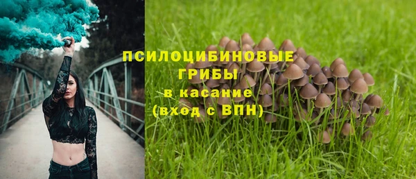 герыч Алексин
