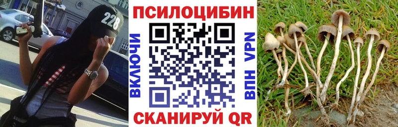 как найти закладки Гусиноозёрск Псилоцибиновые грибы MAGIC MUSHROOMS